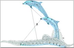 dolphins design screenshot